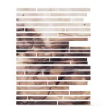 Transit Books Kindle Literary Criticism Guide 146 Pages Typesetting-0