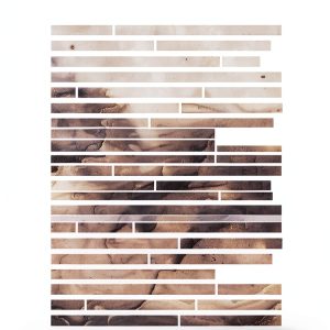 Transit Books Kindle Literary Criticism Guide 146 Pages Typesetting-0
